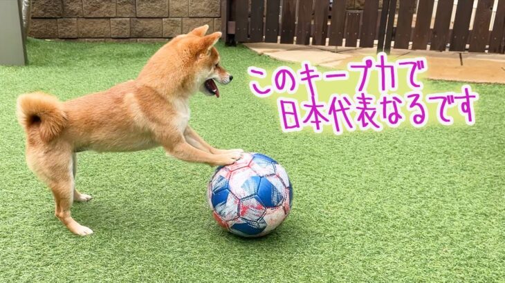 日本代表ワールドカップ出場おめでとう♪我が家のなでしこも準備中