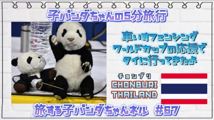 #67 子パンダちゃんの5分旅行　車いすフェンシングワールドカップの応援でタイに行ってきたよ編【旅する子パンダちゃん】