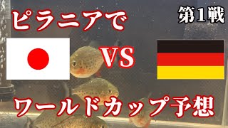 【2022ワールドカップ予想】ピラニアで日本VSドイツの試合を予想してみた結果！！